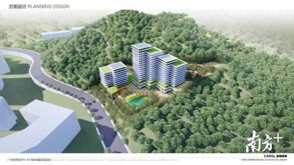 长岭公寓出租信息(长岭楼房出租信息一室一厅的)