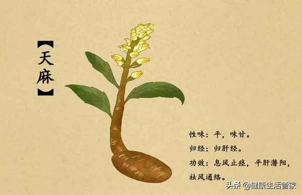 天麻相克食物一覽表,天麻燉雞最忌諱放什么