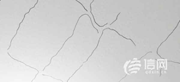 中洲半岛城邦开发商_中洲半岛城邦业主群