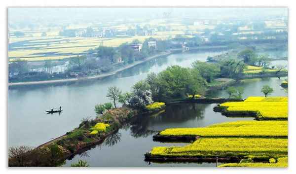 日出江花红胜火的下一句是什么-碧玉妆成一树高下一句