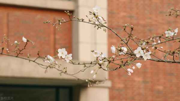 浙江财经大学保研、浙江财经大学保研夏令营