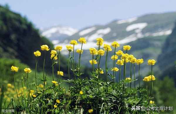 調研報告格式模板—行業調研報告格式模板