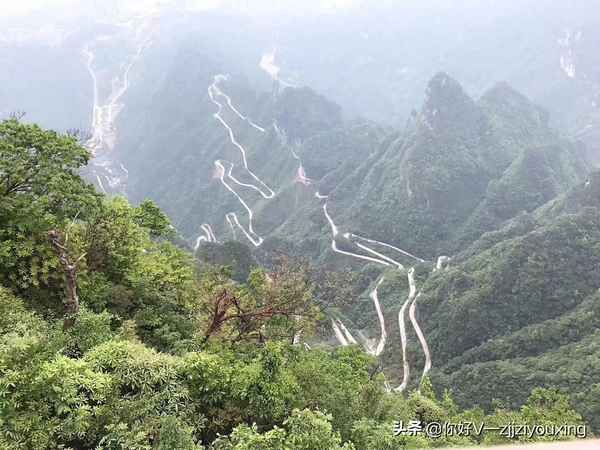 去張家界是跟團好還是自己去好-去張家界跟團還是自由行劃算