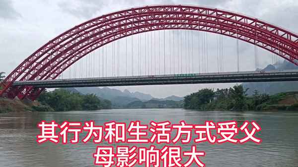 家長對孩子的教育理念_家長對孩子的教育理念和目標