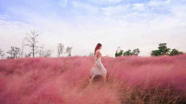 盐城市房产—盐城市房产测绘中心