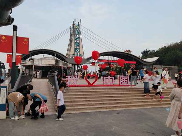 連云港連島一日游(連云港一日游最佳路線)
