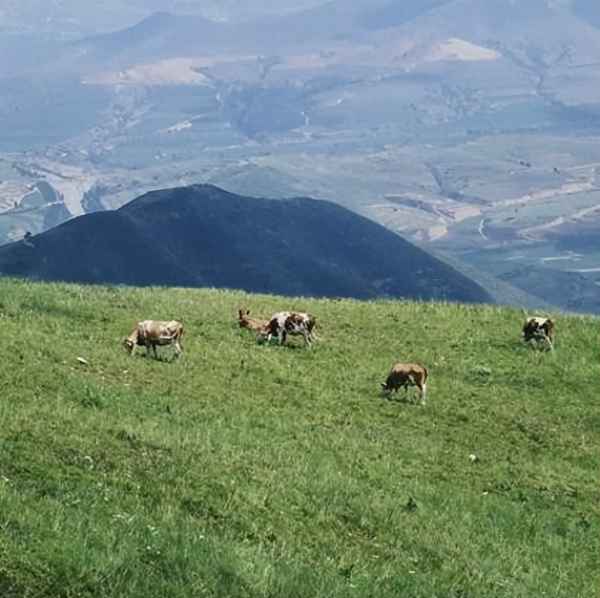 山西大同自駕游必去景點;山西大同自駕游必去景點有哪些