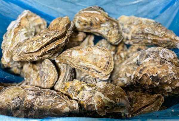美食威海;威海美食排行榜第一