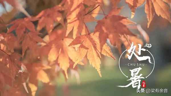關于夏天節氣的成語-形容夏天的節氣