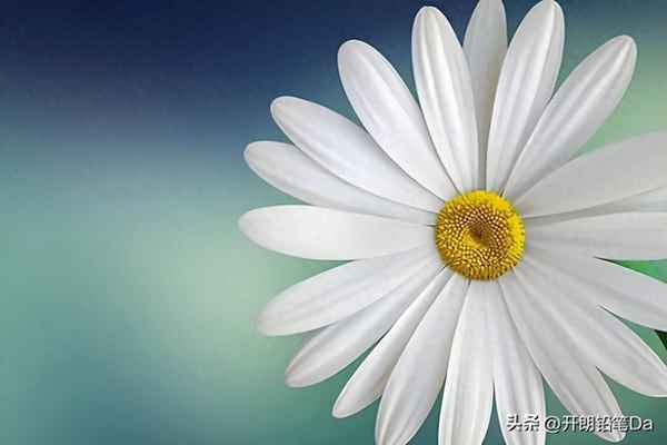 二本大学财经排名—二本大学财经类排名