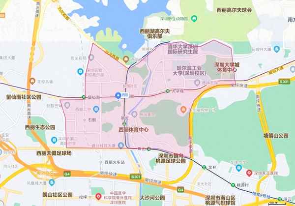 西丽城市公寓一房一厅多少钱-西丽城市公寓一房一厅多少钱啊