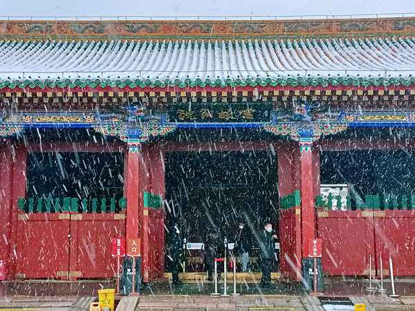 沈陽一日游多少錢一天,沈陽一日游怎么安排