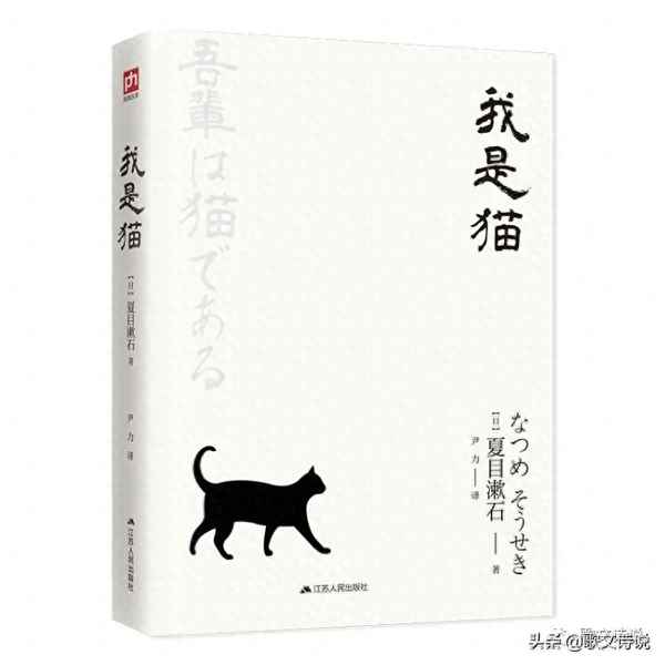 我是貓讀書筆記摘抄好詞_我是貓讀書筆記摘抄及感悟