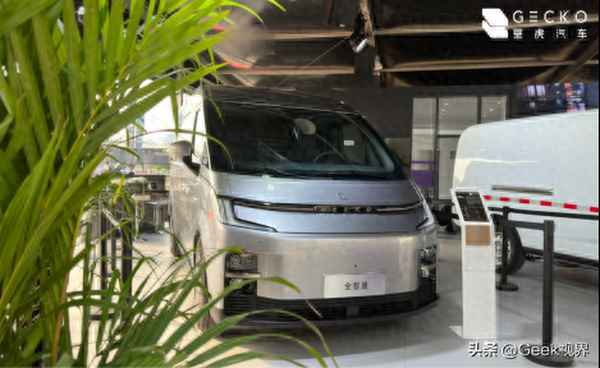 壁虎汽車(壁虎汽車品牌)