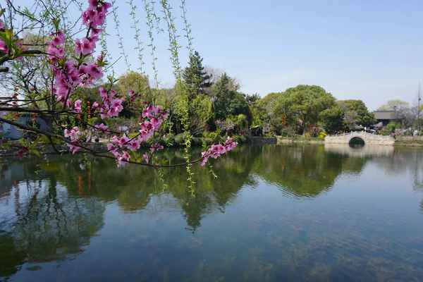 憶江南白居易古詩(憶江南白居易古詩什么意思)