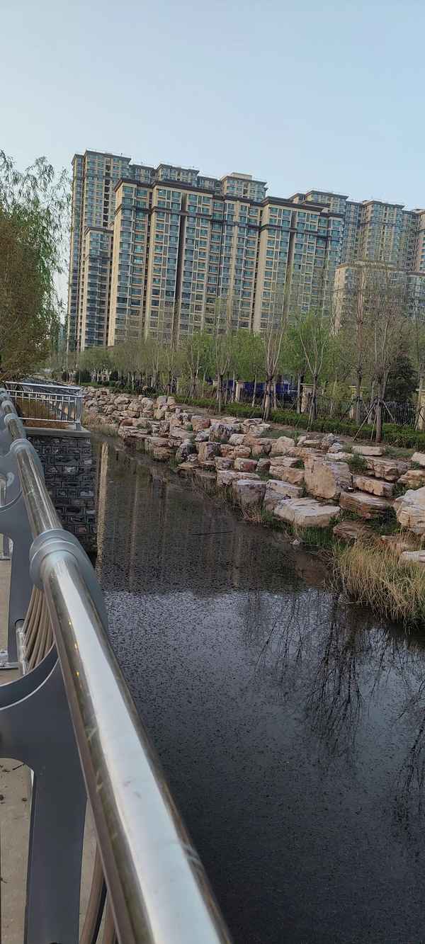 一枝<font color=red>红杏</font>阅读理解题及答案、一枝<font color=red>红杏</font>的上一句是什么