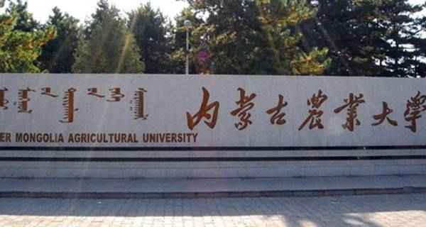 内蒙古财经大学是一本还是二本、内蒙古财经大学是一本还是二本？