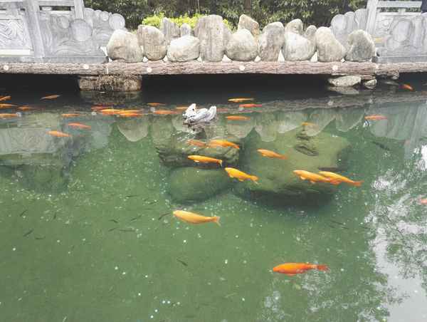 九龍瀑布旅游攻略;九龍瀑布旅游攻略圖