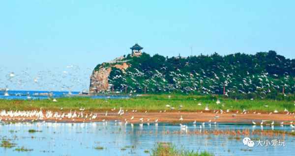 黃金海岸沙雕大世界門票—昌黎沙雕優(yōu)惠多少