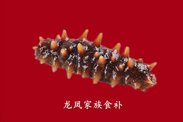 海參隔水燉的做法大全、海參隔水燉的做法大全竅門