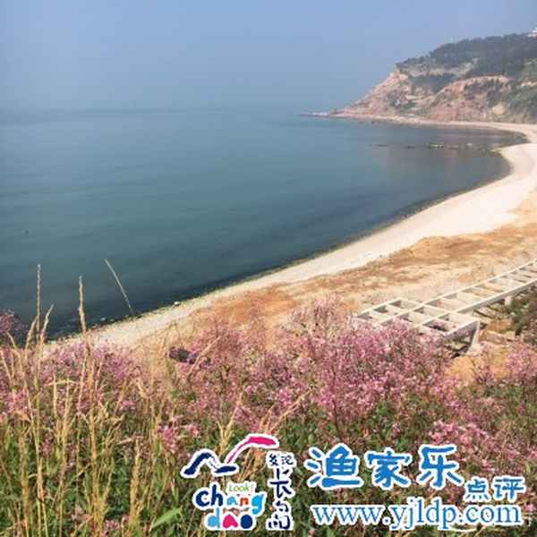 60歲老人去長島坐船有優惠嗎(長島適合老人去嗎)