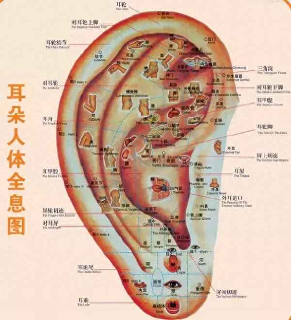 指甲盖宽大怎样变小、指甲盖宽怎么做款式