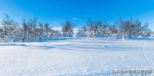 男性隐疾具体指什么病—男人患隐睾症有啥症状图片