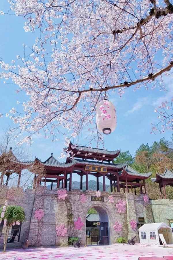 2023黃鶴樓免票政策;黃鶴樓免票政策年齡
