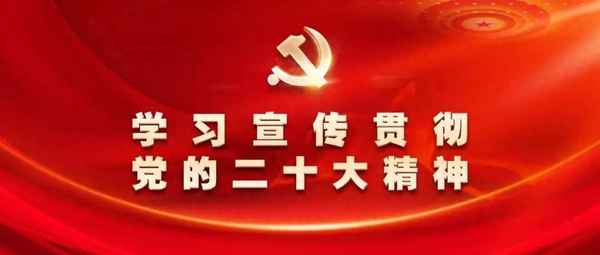 辅警培训心得体会范文(辅警训练心得体会)