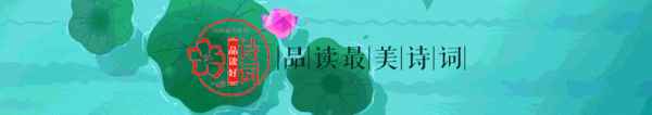 盛夏荷花的美好诗句,荷花最有禅意的诗