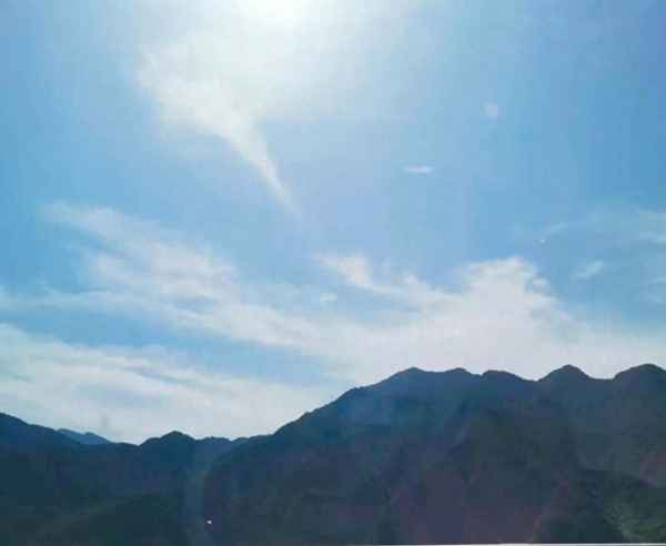 我喜歡狼來了的故事原因_為什么喜歡狼來了這個故事