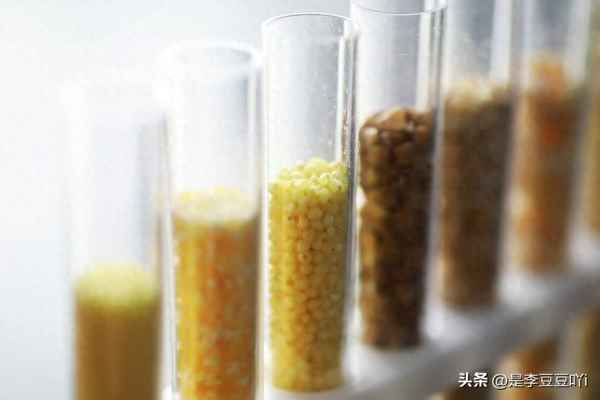 水稻最早出现在什么时候;水稻最早起源于什么地方