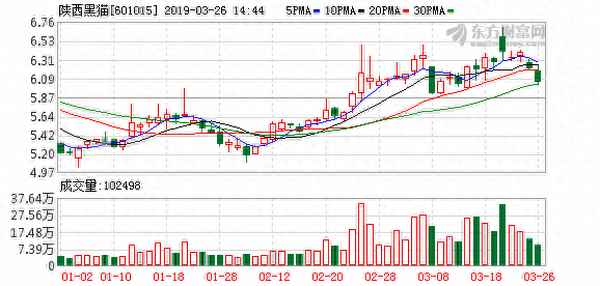 黑猫股票还会涨回来吗-陕西黑猫属于什么概念