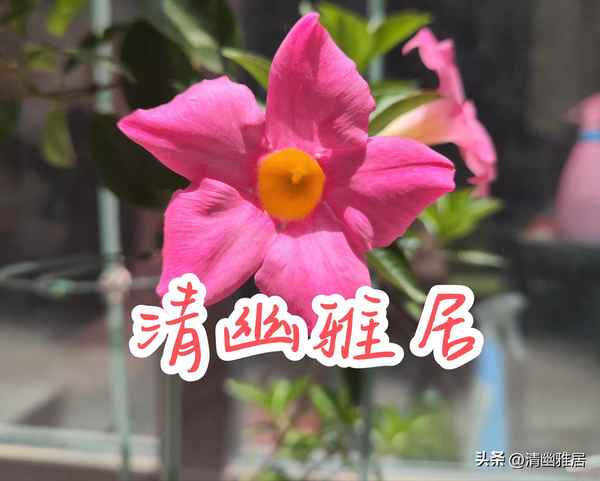 山水之间的唯美句子(置身山水之间的唯美句子)