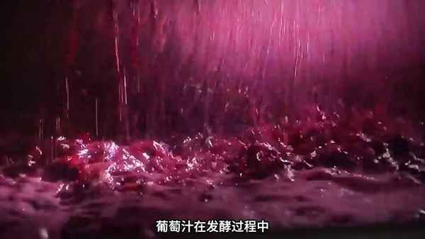 紅酒做法自釀全過程-自釀葡萄酒的6個危害