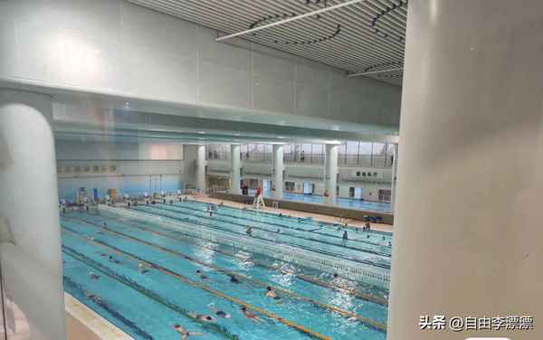 水立方可以游泳嗎多少錢(水立方對外開放游泳嗎)