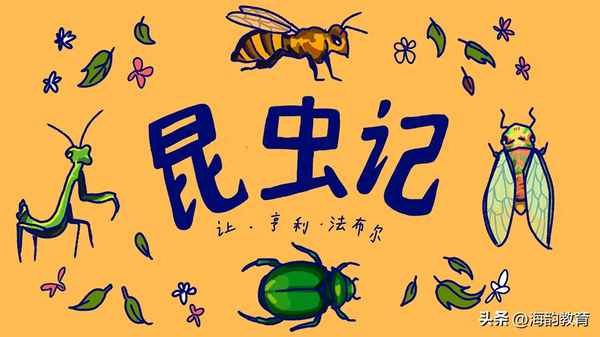 昆蟲記1—26章筆記50字_昆蟲記1—26章筆記50字怎么寫