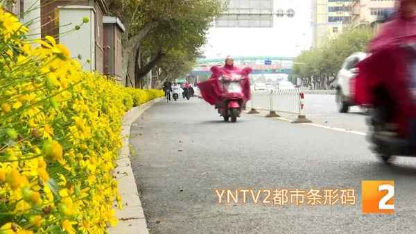 電瓶車爆胎了叫人來修—電瓶車爆胎了叫人來修怎么辦