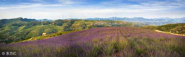 燕歌行并序原文及翻译及注释_燕歌行并序唐高适朗读