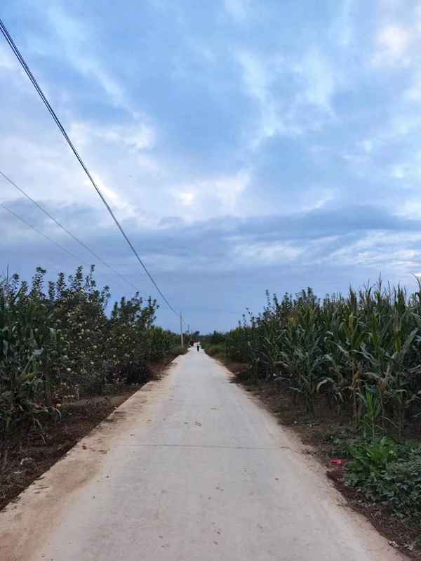百善孝為先告訴我們什么道理_百善孝為先的心得體會怎么寫