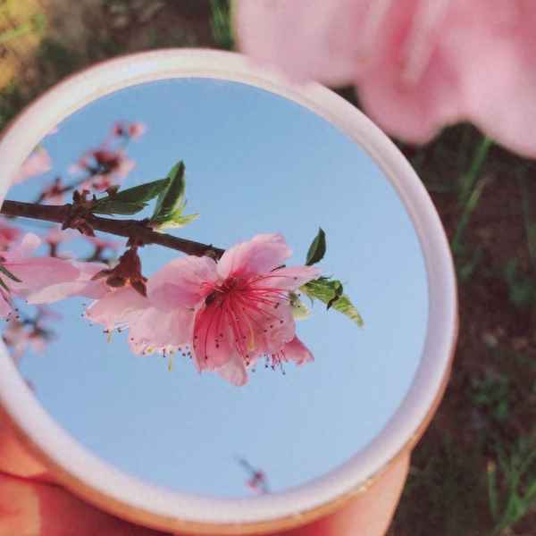 2024彻底翻身的生肖_2026彻底翻身的生肖