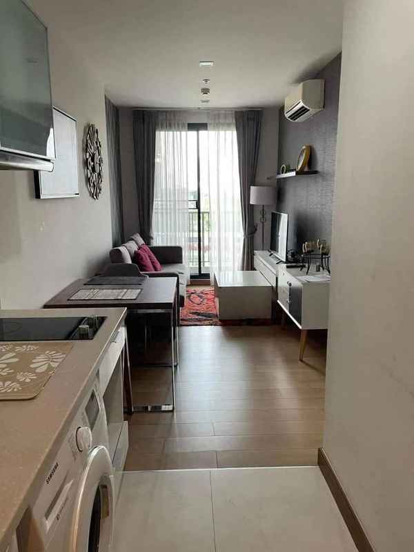 一室一厅出租信息-一室一厅出租信息语