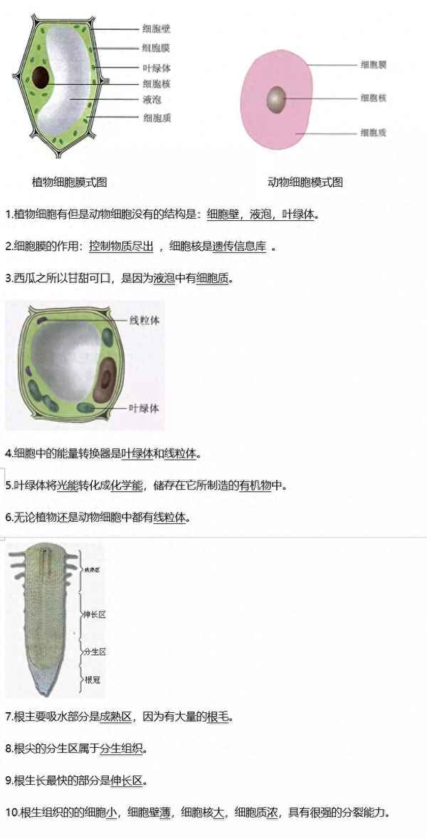 初中生物課本電子版七年級上冊、初中生物課本電子版七年級上冊目錄