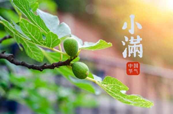 林深不知处 鸟鸣山更幽;林深不知处 鸟鸣山更幽什么意思