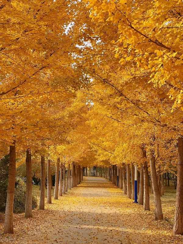 风景治愈系文案短句—风景治愈文字