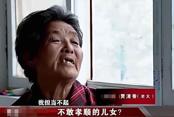 中國擁有房產最多的人_中國房子最多的人有多少套房子