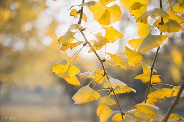 一个女生说山河远阔人间星河—女孩说山河远阔人间