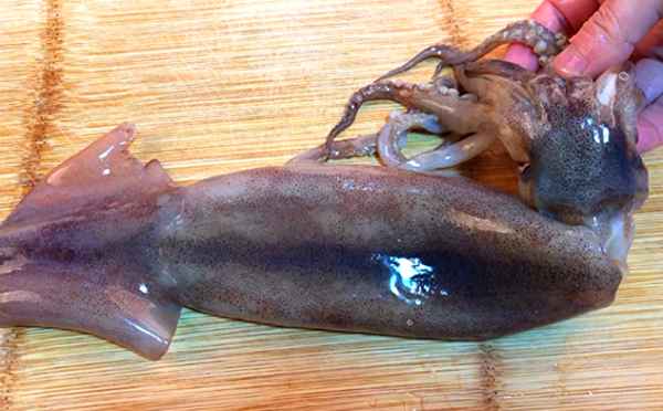 魷魚怎么處理干凈;新鮮魷魚怎么處理干凈