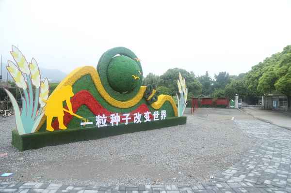 安江農校紀念園開放時間,安江農校紀念園開放時間最新消息