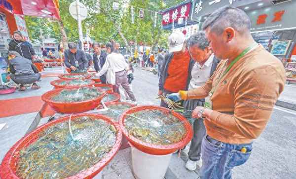 10只螃蟹大概多少钱,螃蟹20元一只贵吗